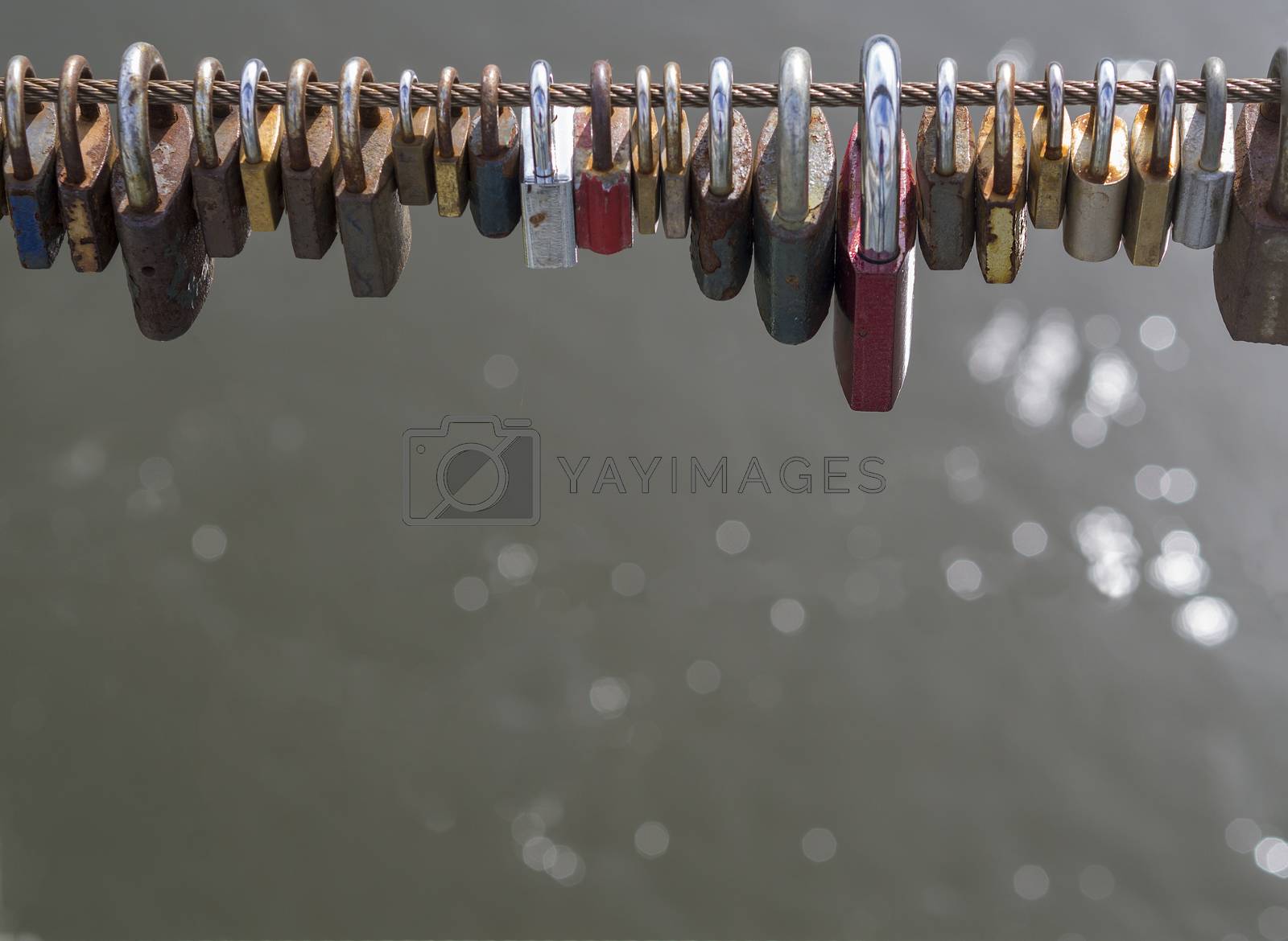 Royalty free image of colorful locks hanging from high wire of bridge with bokeh lights on gray water background by Henkeova