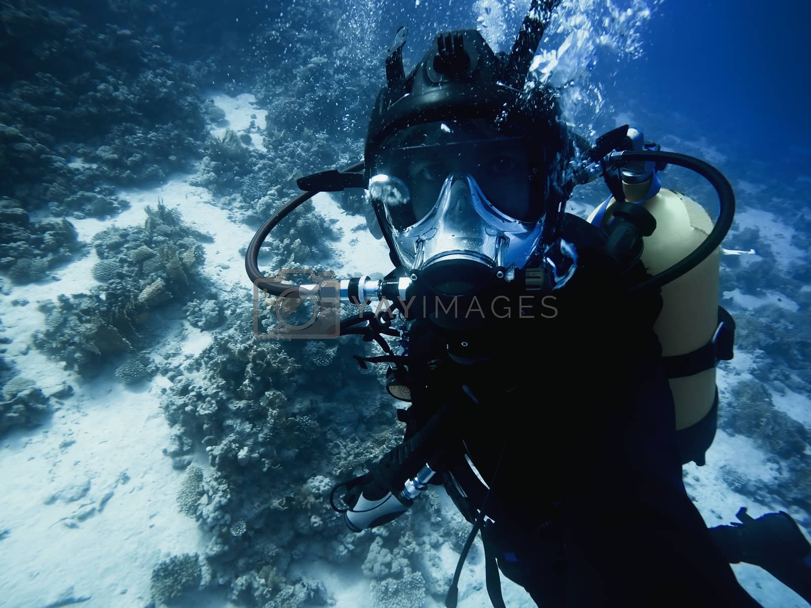 Royalty free image of Scuba diver descending to the bottom by svedoliver
