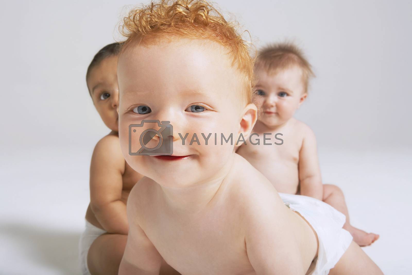 Portrait of three cute babies in studio