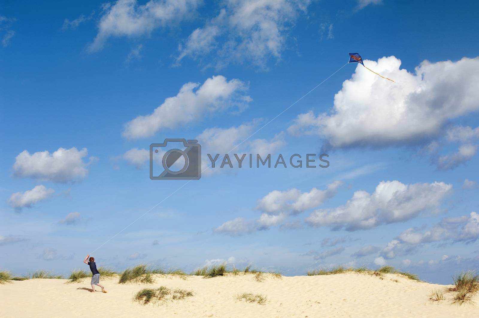 Royalty free image of Photo of Boy Flying Kite on Beach by moodboard