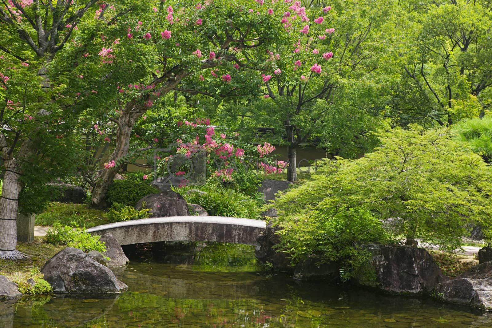 Royalty free image of Japan Himeji Himeji Koko-en Gardens stone bridge over stream by moodboard