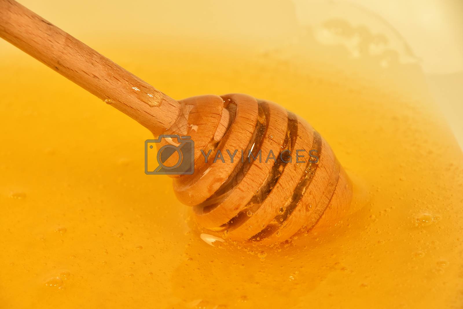 Royalty free image of Close up wooden dipper in honey bowl by BreakingTheWalls