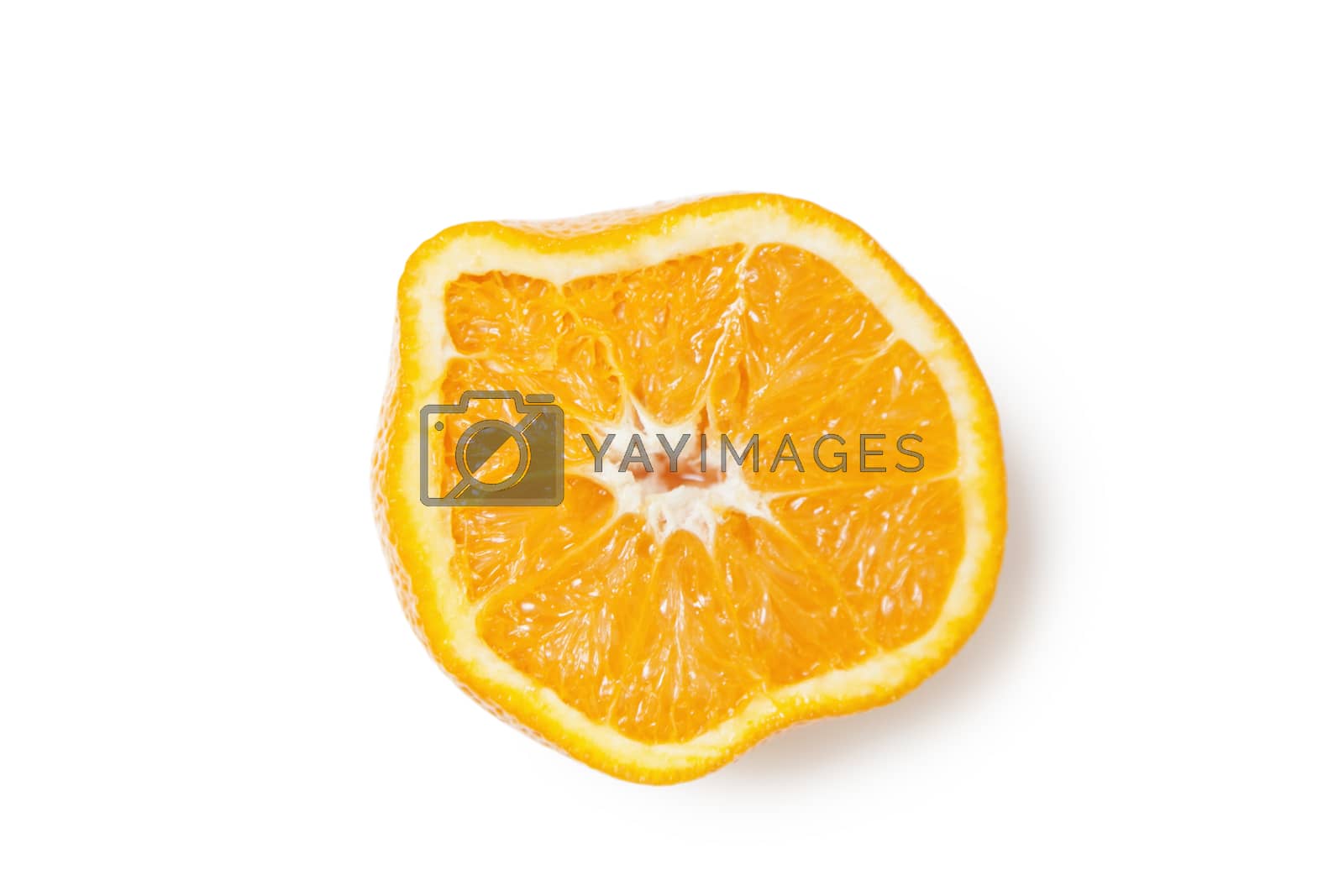 Royalty free image of Cross section of a squeezed orange slice over white background by moodboard