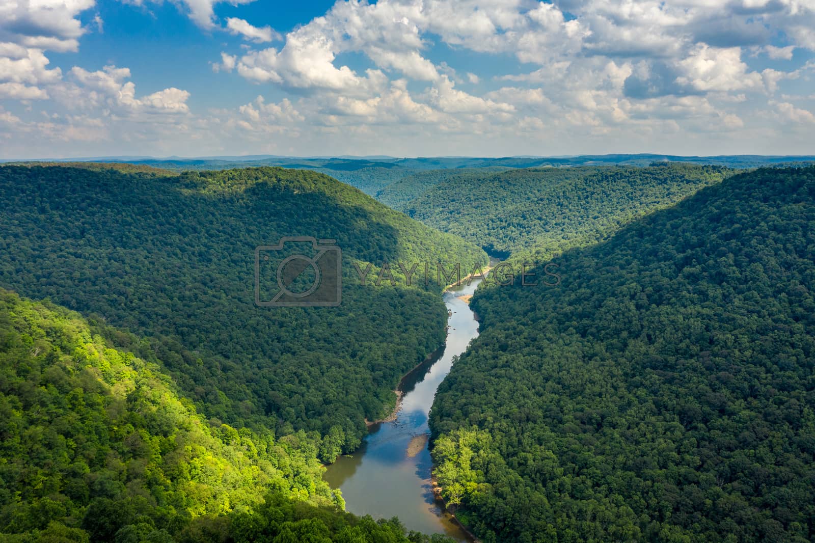 Royalty free image of Narrow gorge of the Cheat River upstream of Coopers Rock State Park in West Virginia by steheap