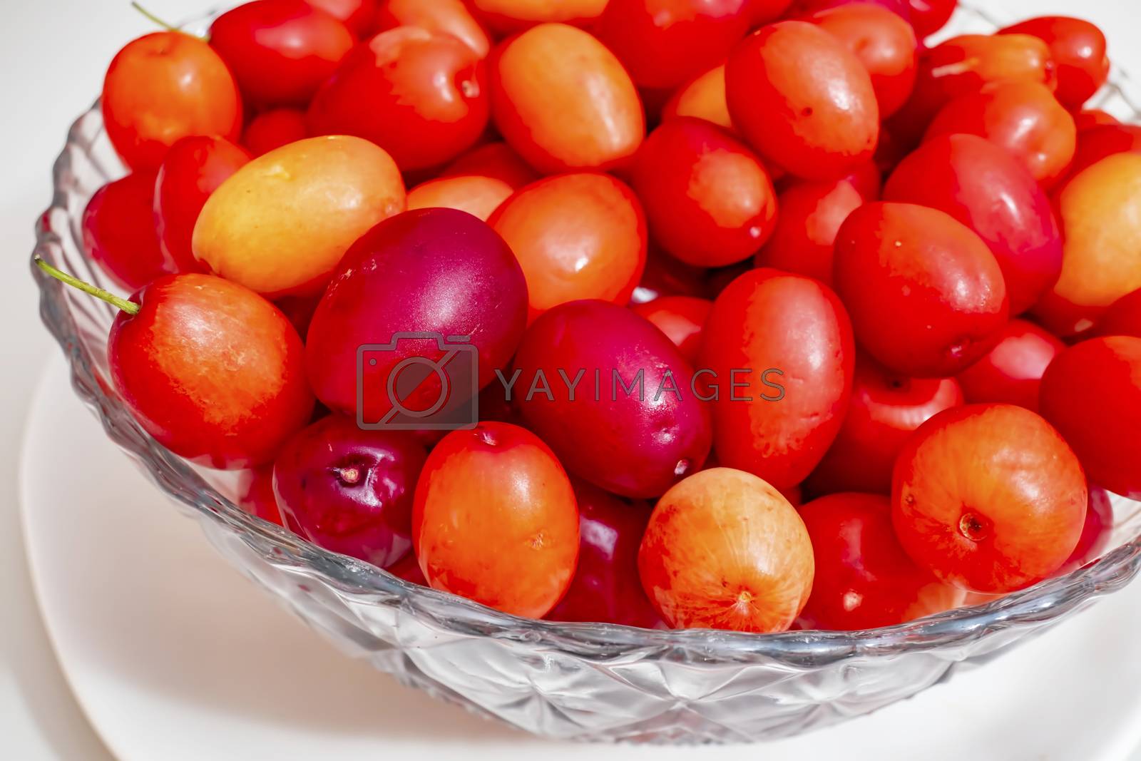 Royalty free image of cranberry fruits in decorative plate by yilmazsavaskandag