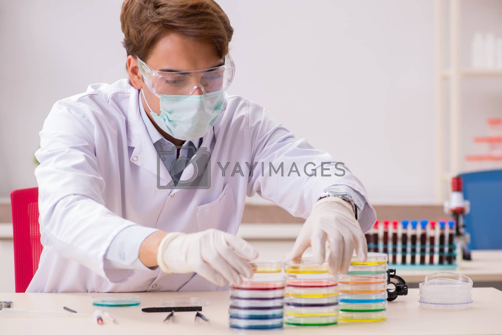 Royalty free image of Young chemist working in the lab  by Elnur