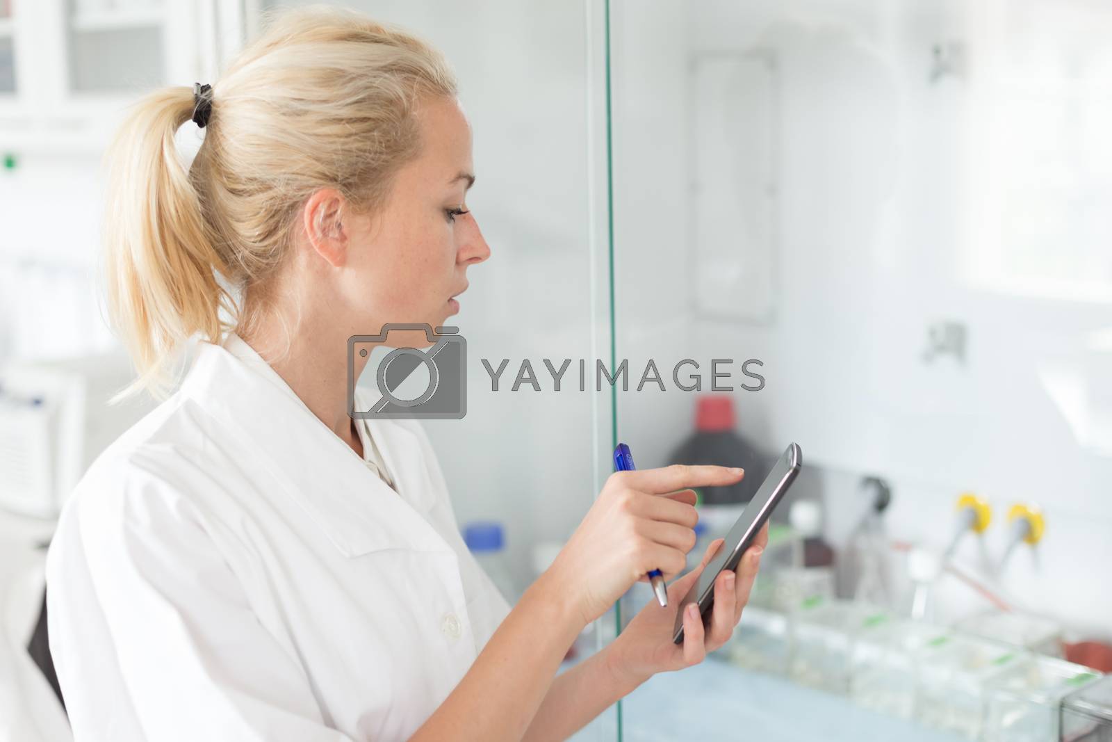 Royalty free image of Portrait of young female researcher checking research experiment protocol and making notes on mobile phone application in life science laboratory by kasto