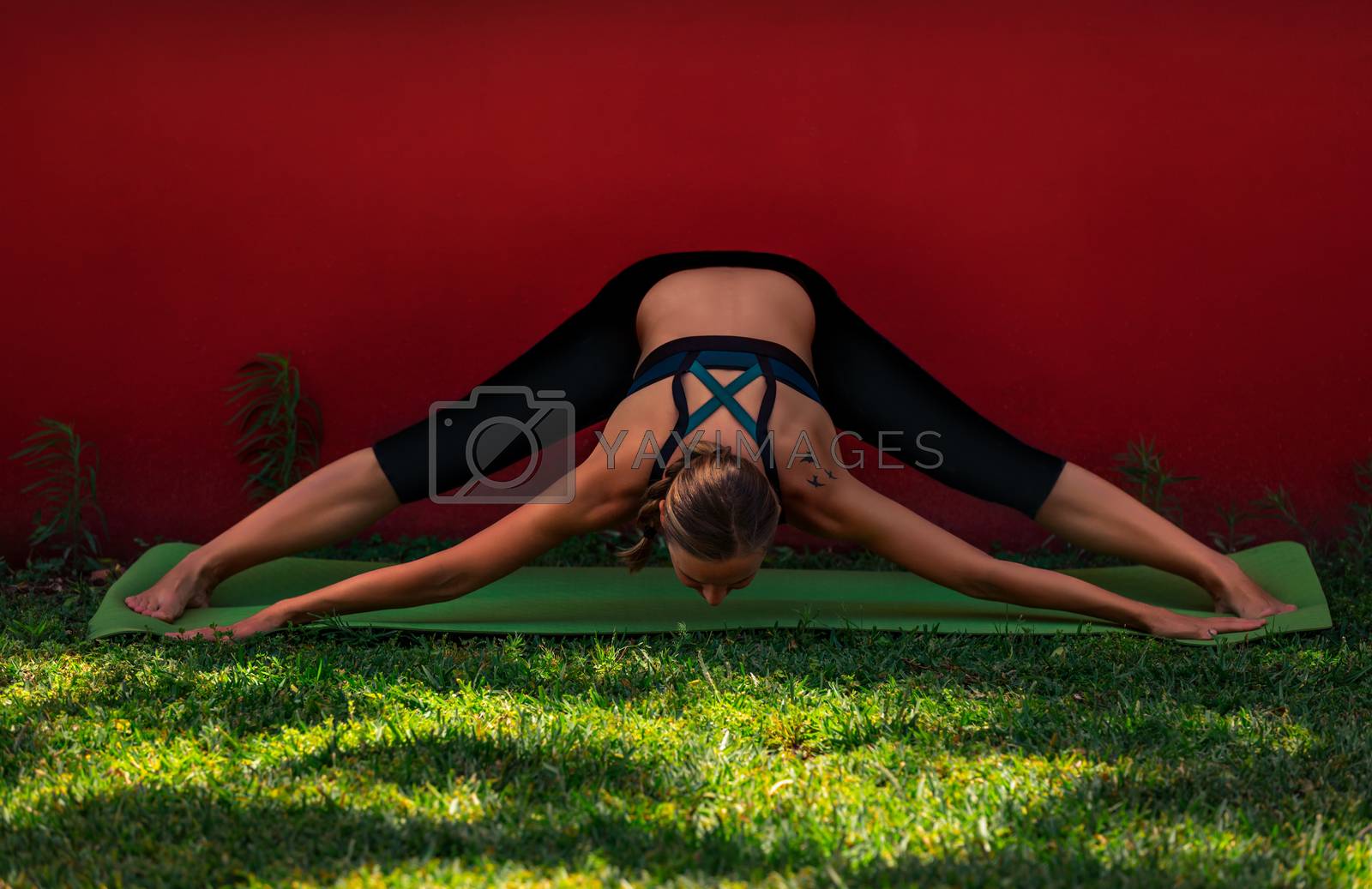 Royalty free image of Yoga Outdoors by Anna_Omelchenko