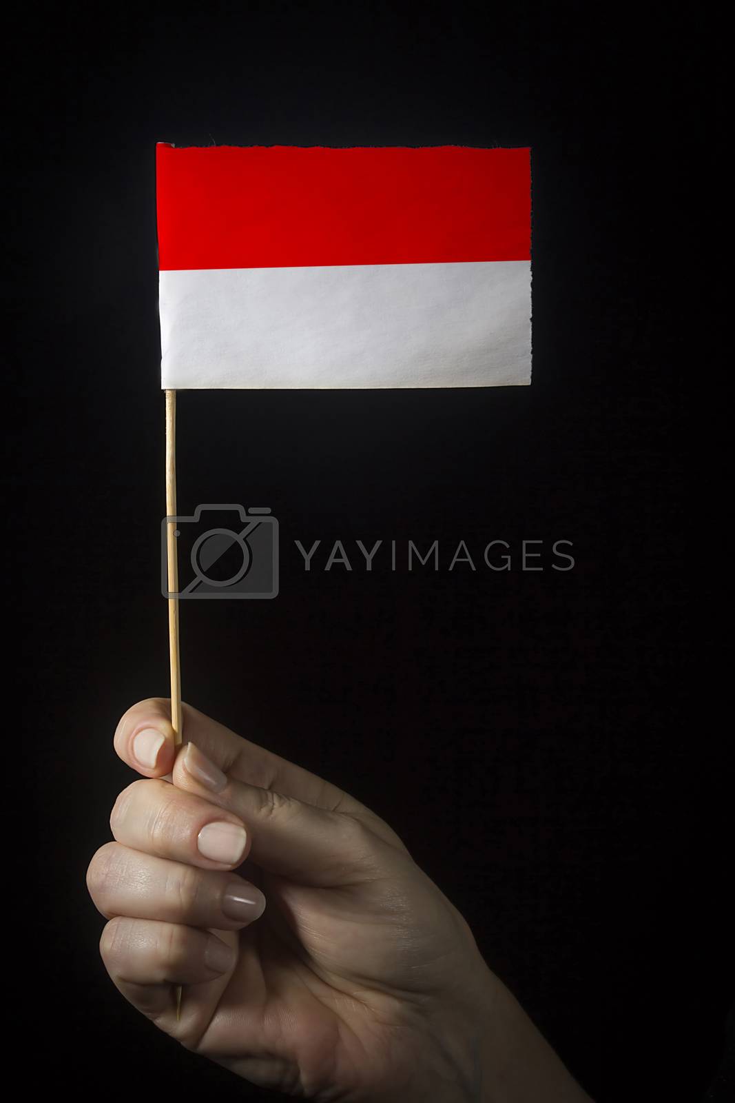 Royalty free image of Hand with flag of Indonesia by VIPDesignUSA