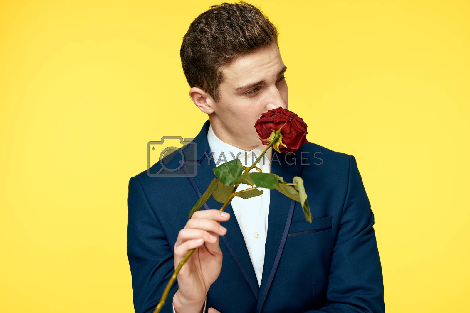Gentlemen in classic suit on yellow background and red rose romance cropped view model portrait. High quality photo