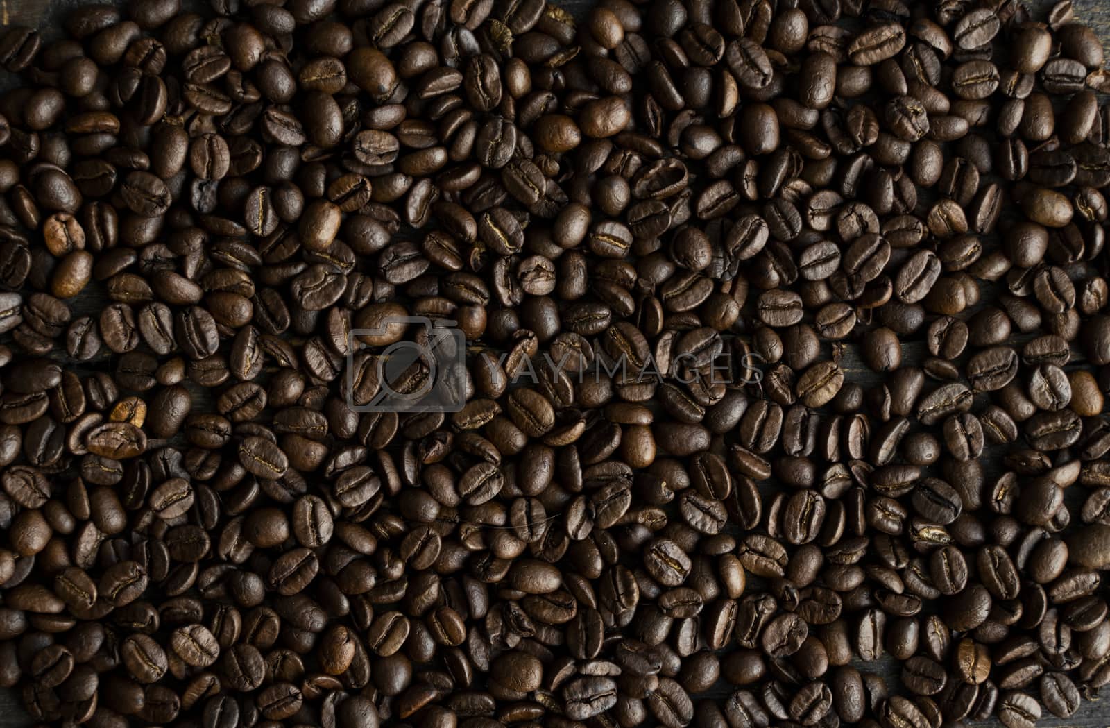 Royalty free image of Fresh arabica coffee beans as a texture or background. by vovsht