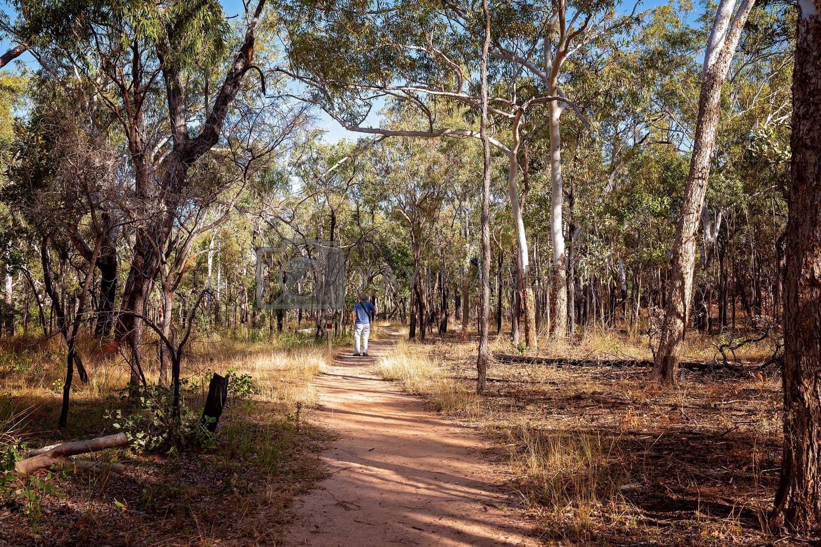 Royalty free image of Retiree On Relaxed Bush Walk by 	JacksonStock