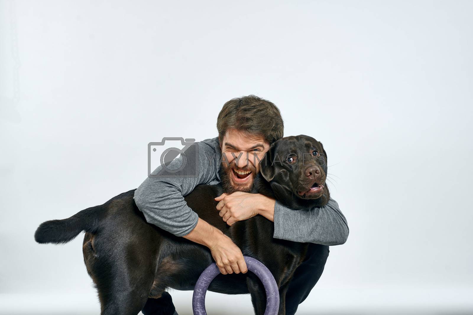 Royalty free image of Man with dog training gray ring doing exercises pets light background. by SHOTPRIME