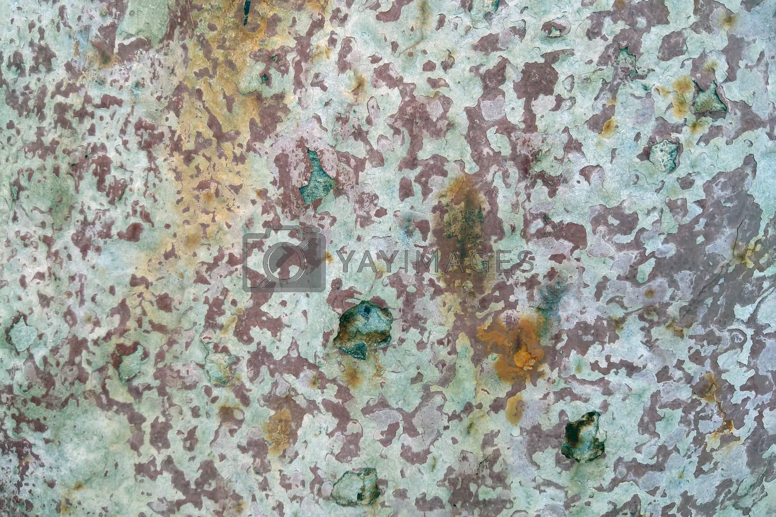Royalty free image of A piece of metal with peeled paint and a rusty part. Background, texture. by kip02kas