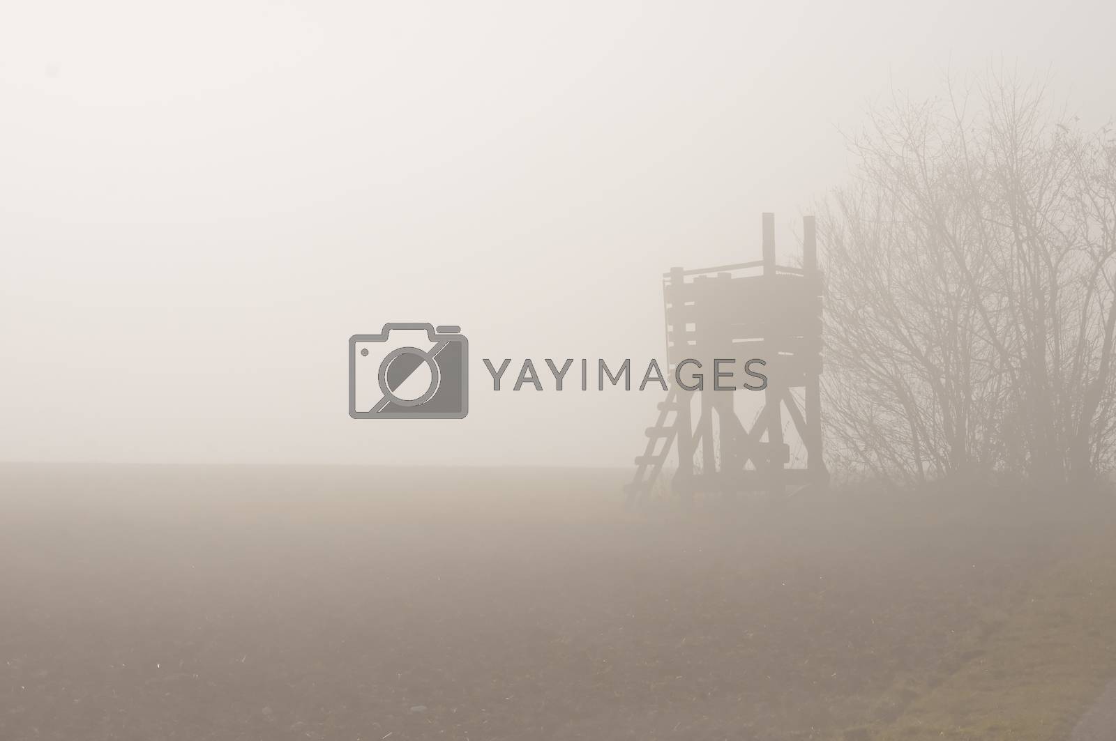 Royalty free image of descending fog in autumn by Jochen