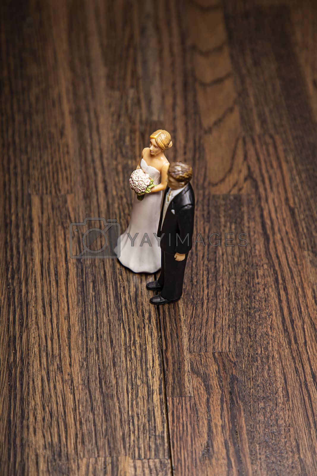 Royalty free image of Married couple figurine by mypstudio