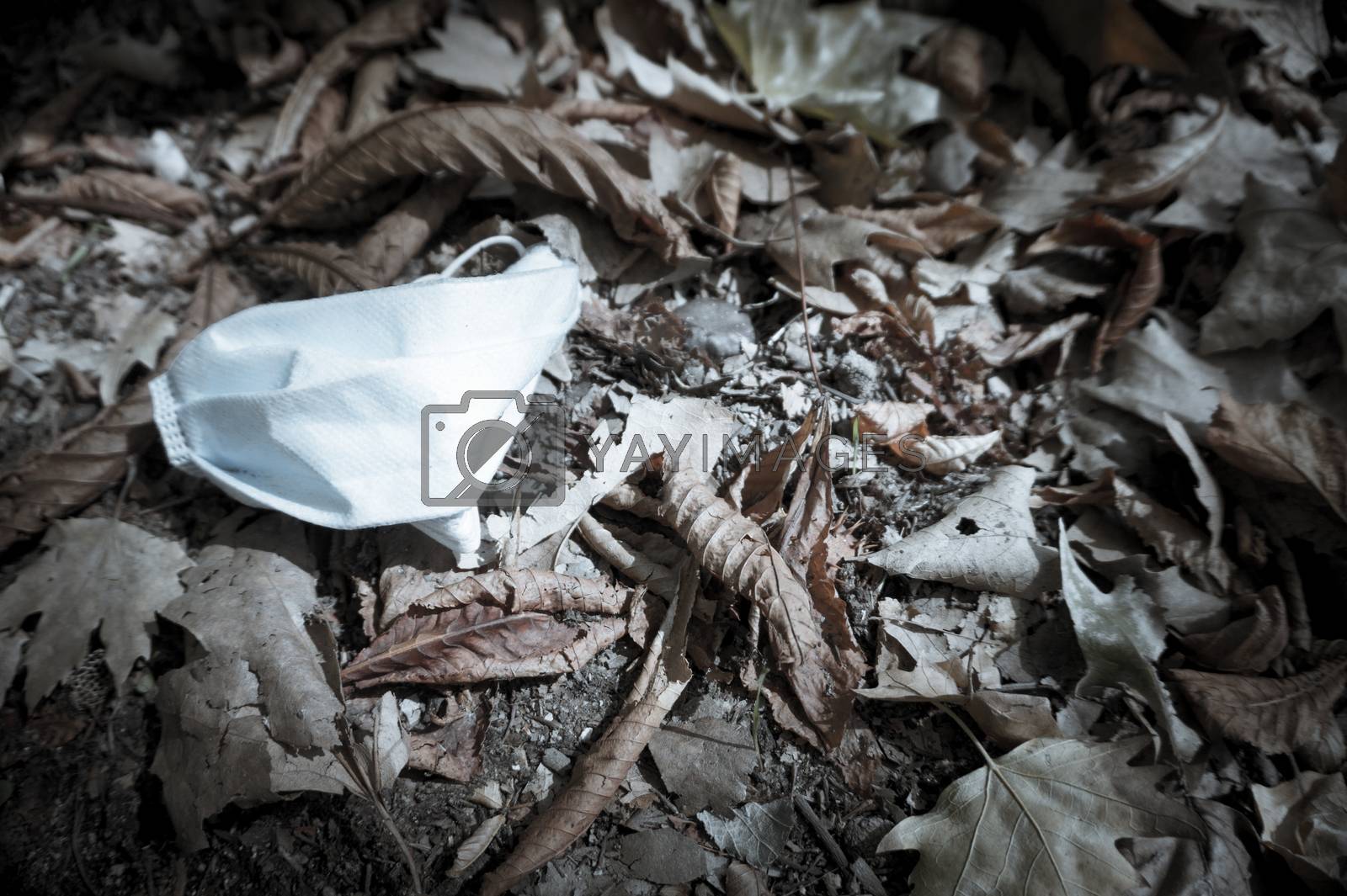 Royalty free image of Used surgical mask lying on dry leaves in the field by GemaIbarra