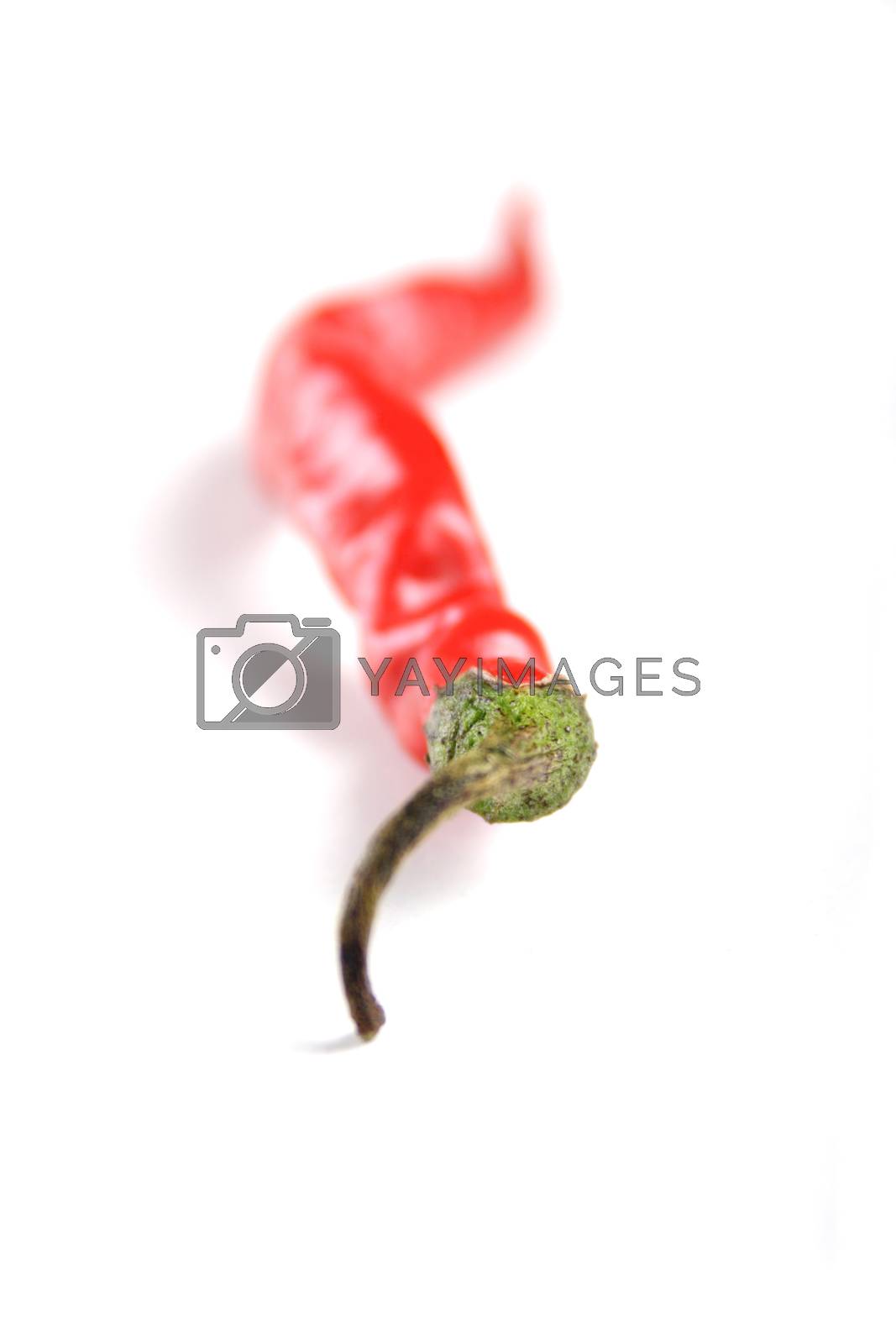 Royalty free image of Red Chilli by moodboard