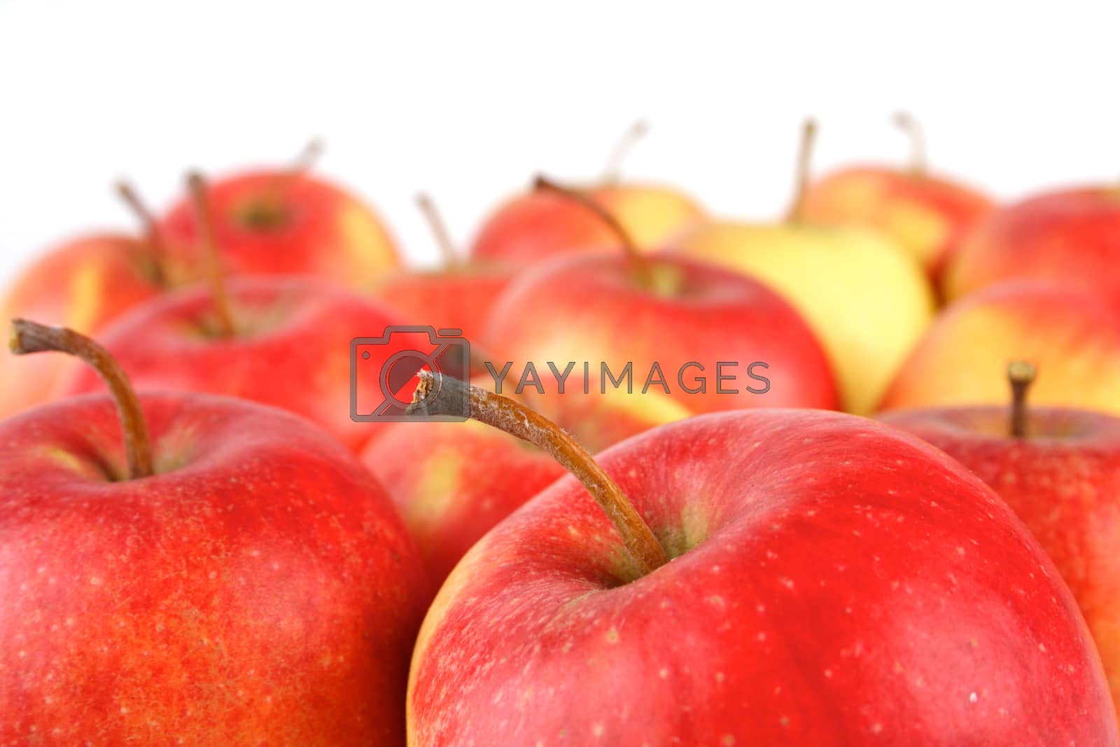 Royalty free image of Apples by moodboard