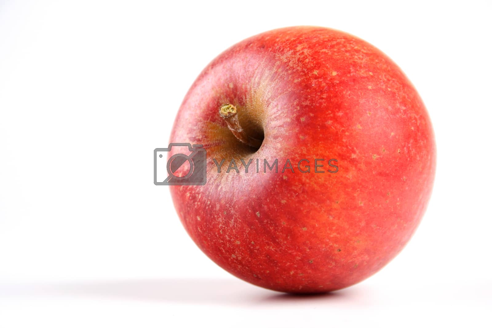 Royalty free image of Apples by moodboard