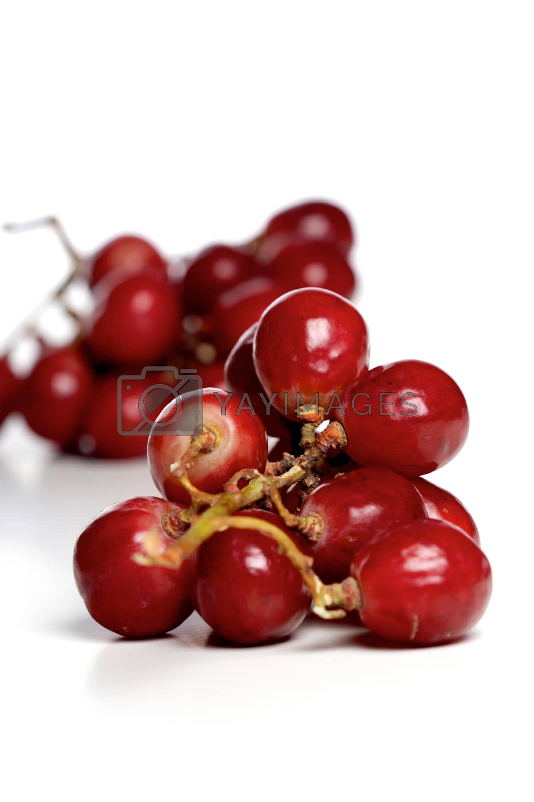 Royalty free image of Grapes by moodboard