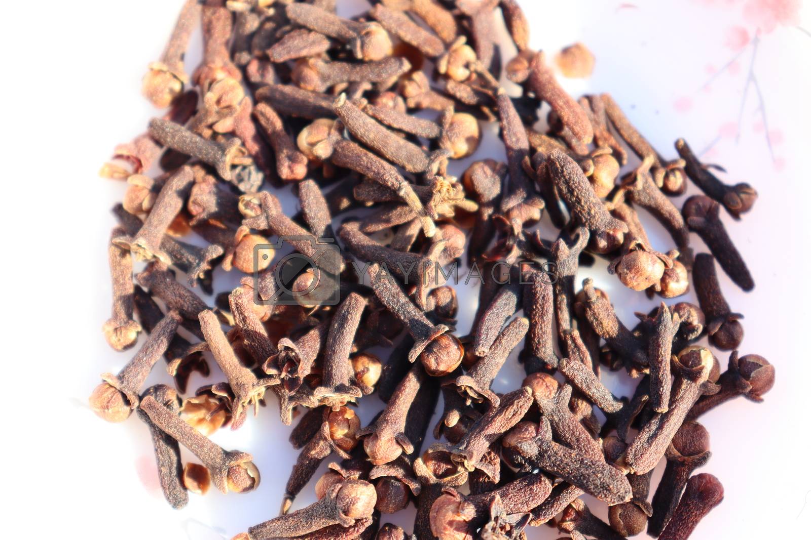 Royalty free image of healthy and spicy Clove stock by jahidul2358