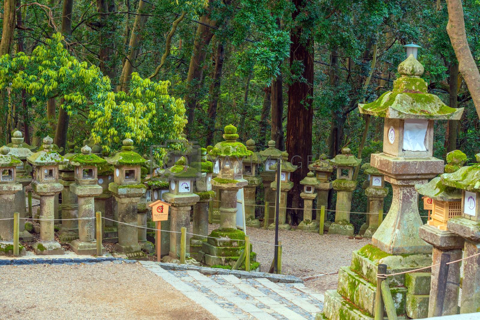 Royalty free image of Japanese lanterns at Kasuga-taisha Shrine in Nara  by f11photo