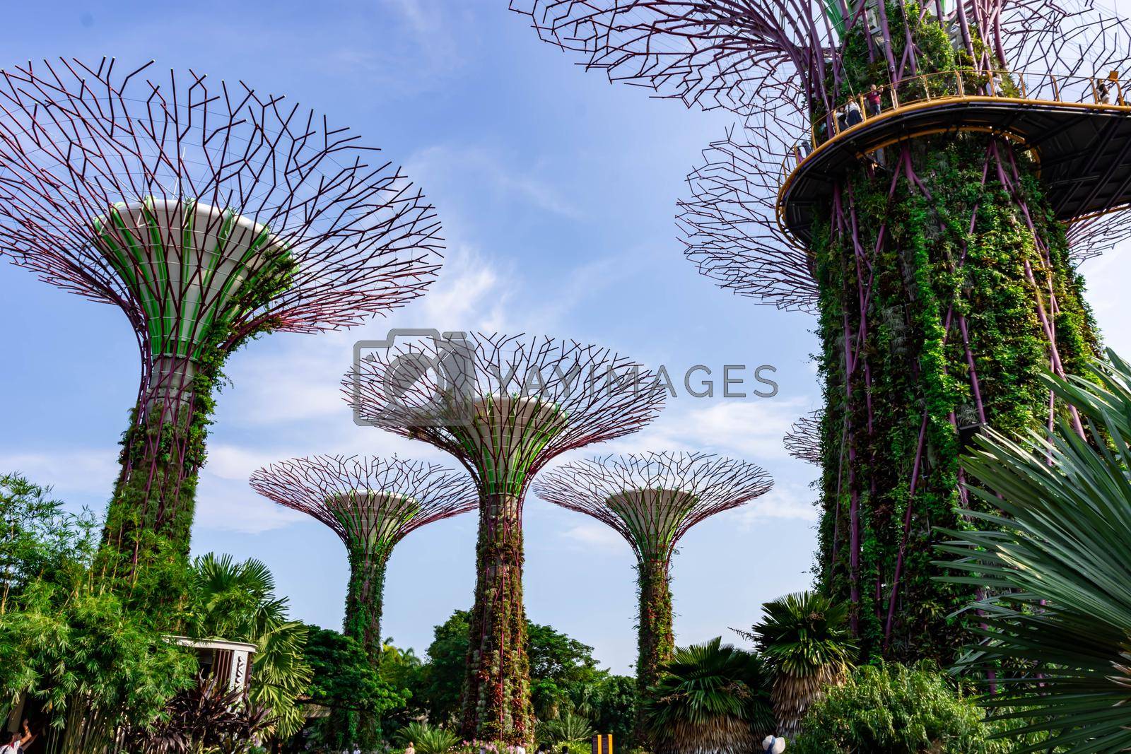 Royalty free image of supertree gardens by the bay singapore, Singapore, Oct 12, 2018 by billroque