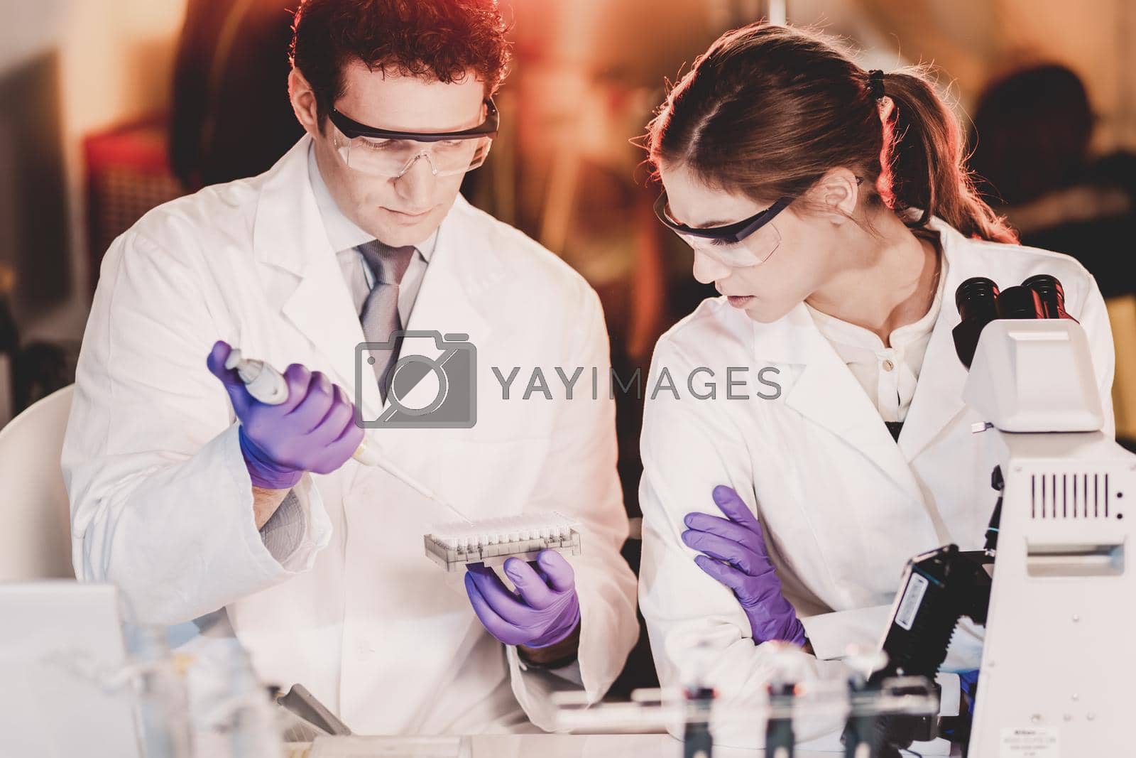Royalty free image of Life scientist researching in the laboratory. by kasto