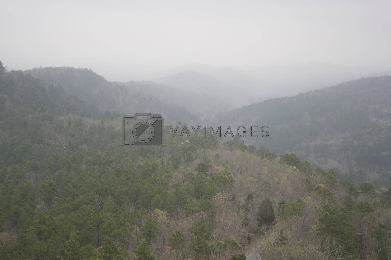 Royalty free image of Hot Springs National Park, Arkansas by Txs635