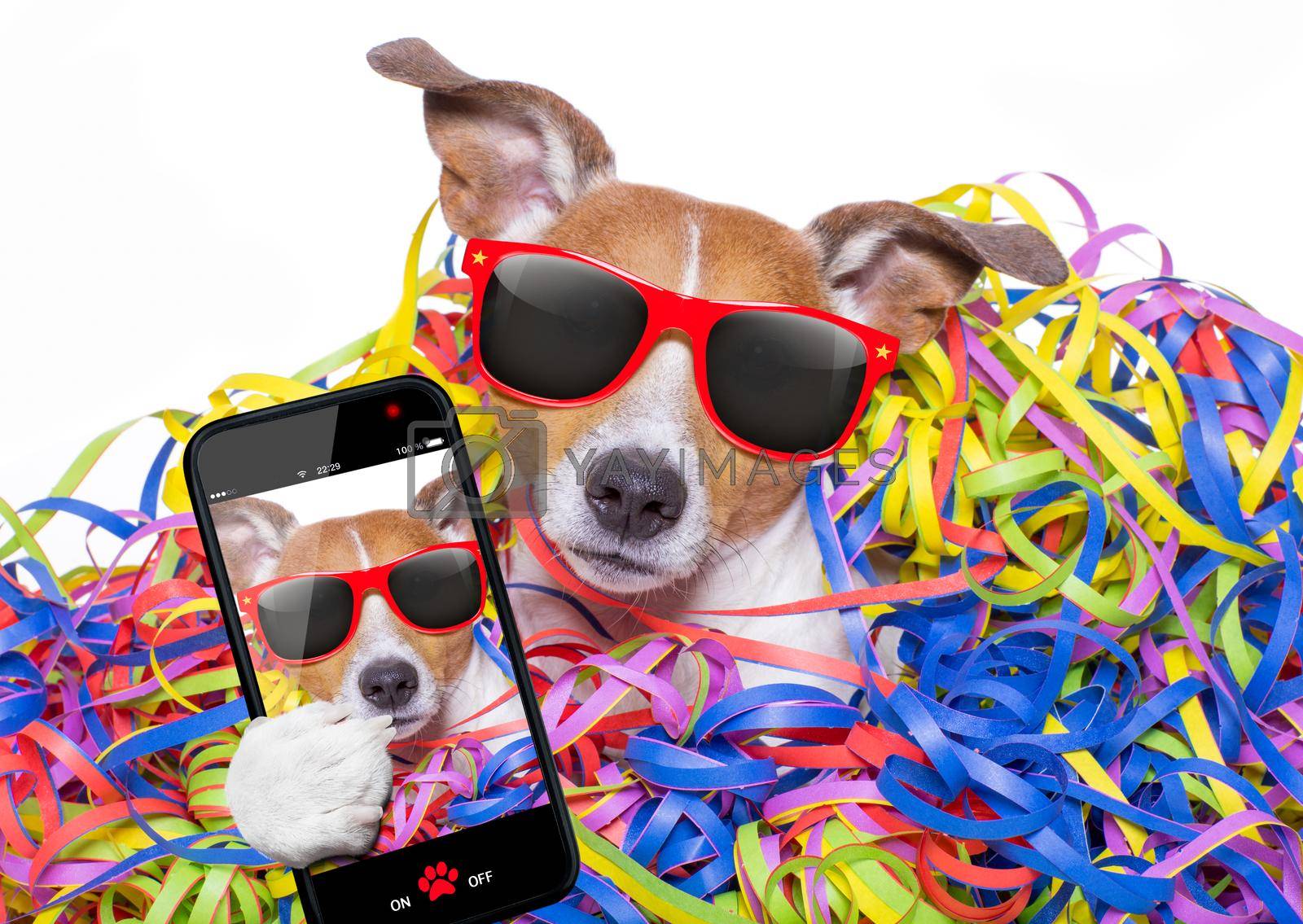 funny jack russell dog having fun and a party with serpentine streamers, for birthday or happy new year, taking a selfie with smartphone or cell phone
