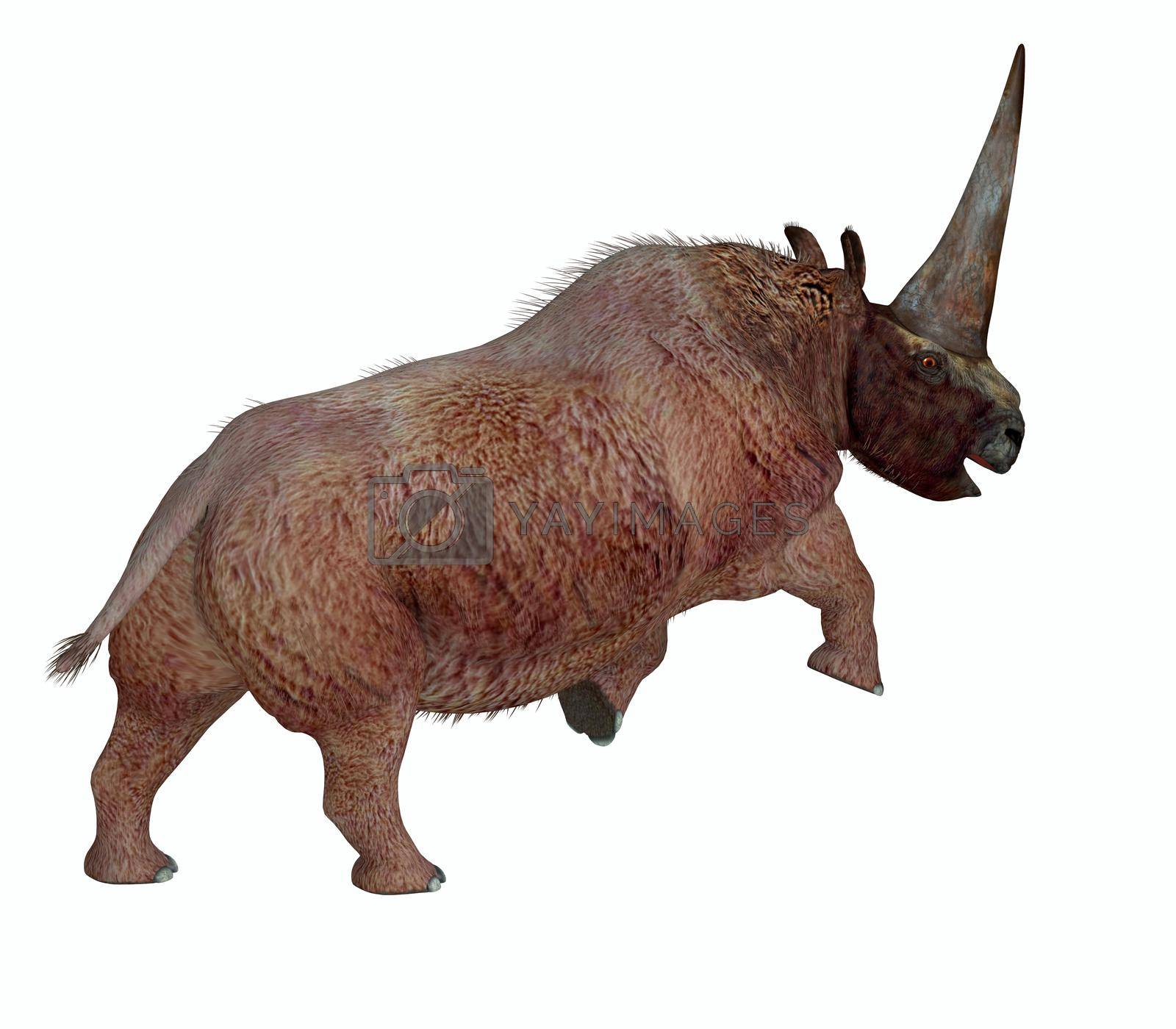 Royalty free image of Elasmotherium Tail by Catmando
