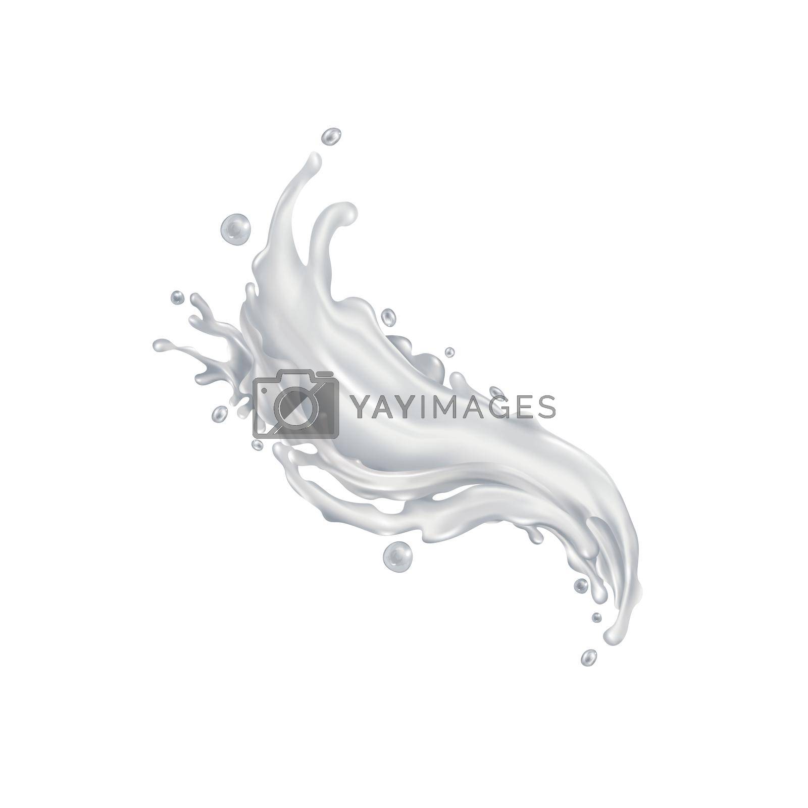Royalty free image of Milk drink splash on a white background by ConceptCafe