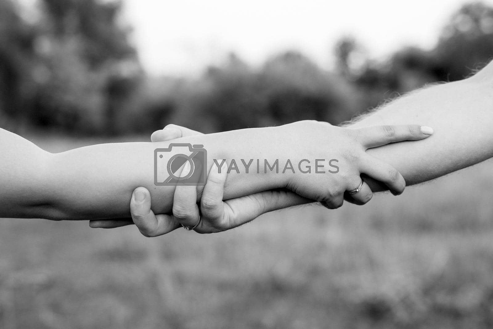 Royalty free image of scheme of handshaking and distancing in psychology and the science of body by Andreua