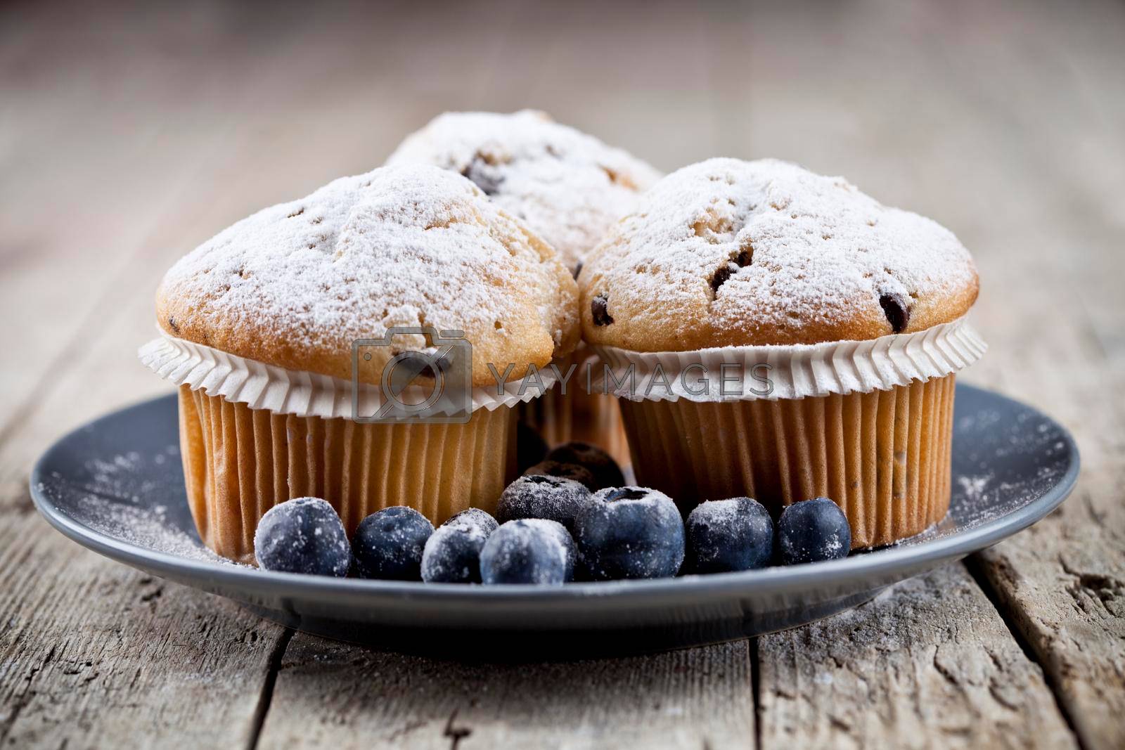 Royalty free image of Homemade fresh muffins with sugar powder and blueberries on ceramic plate on rustic wooden table by marylooo