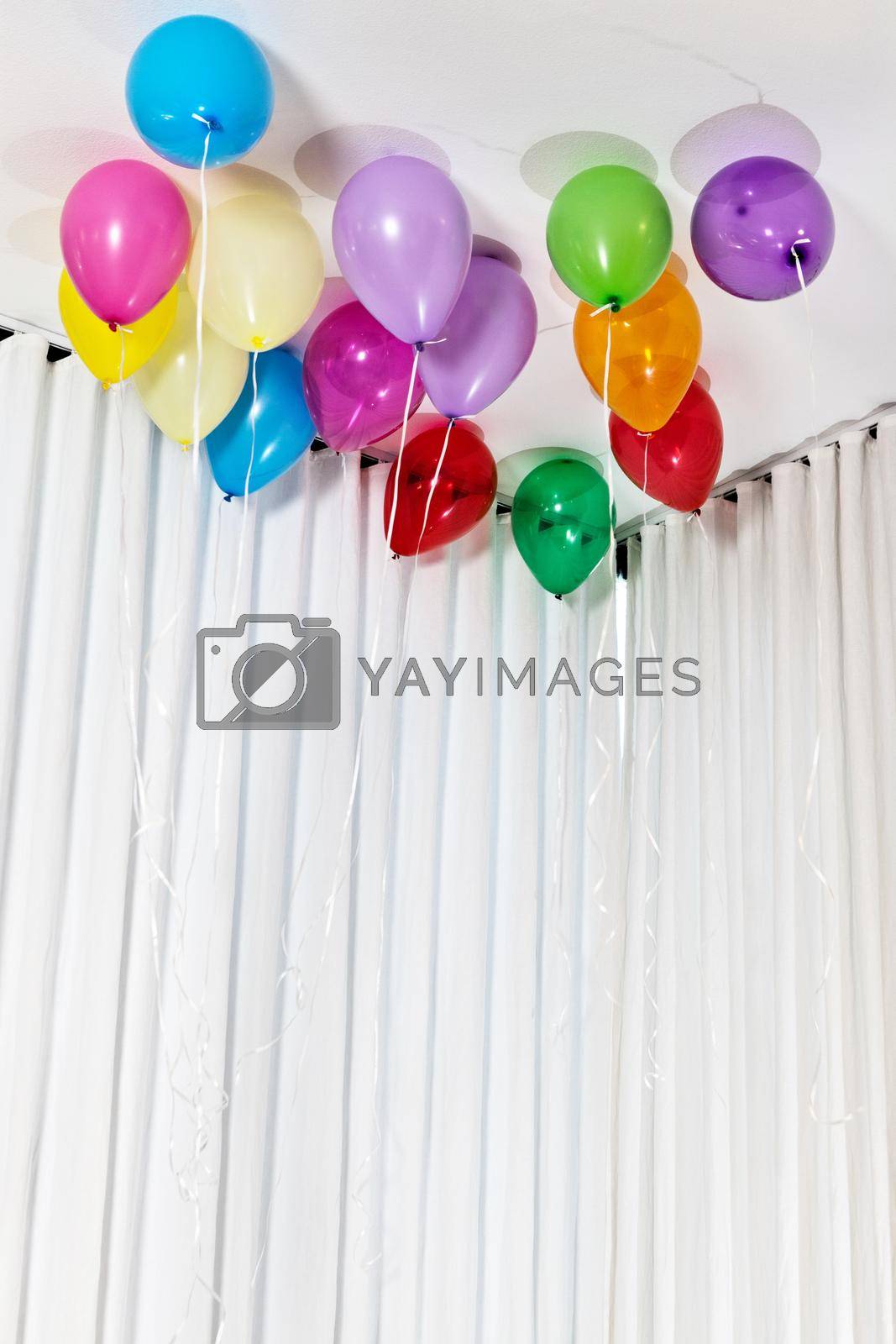 Royalty free image of Multi Coloured Helium Balloons on ceiling by moodboard