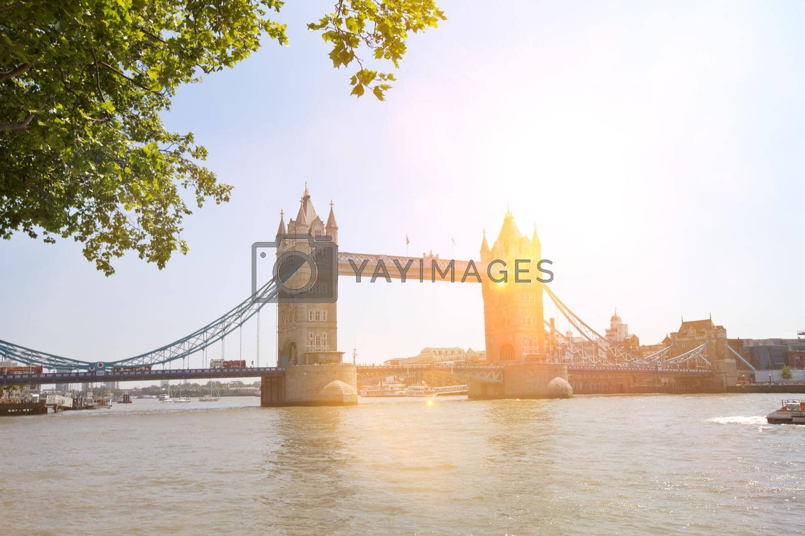 Royalty free image of Tower bridge in London by moodboard