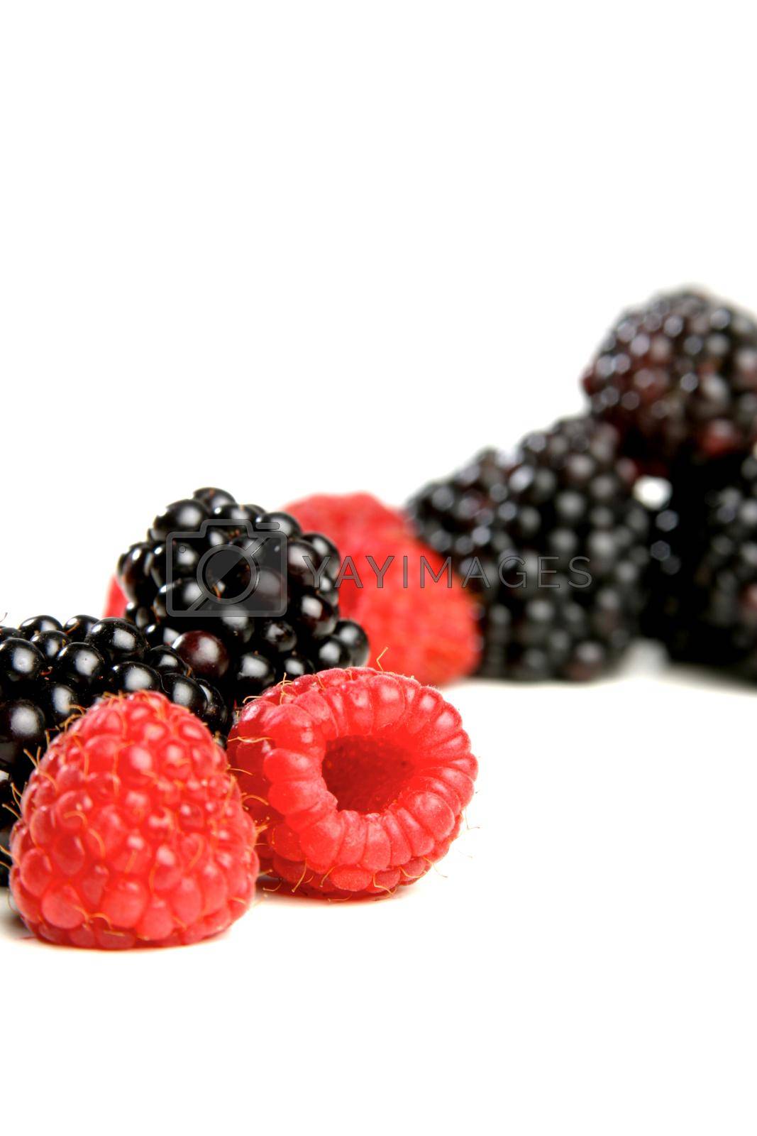 Royalty free image of Berries by moodboard