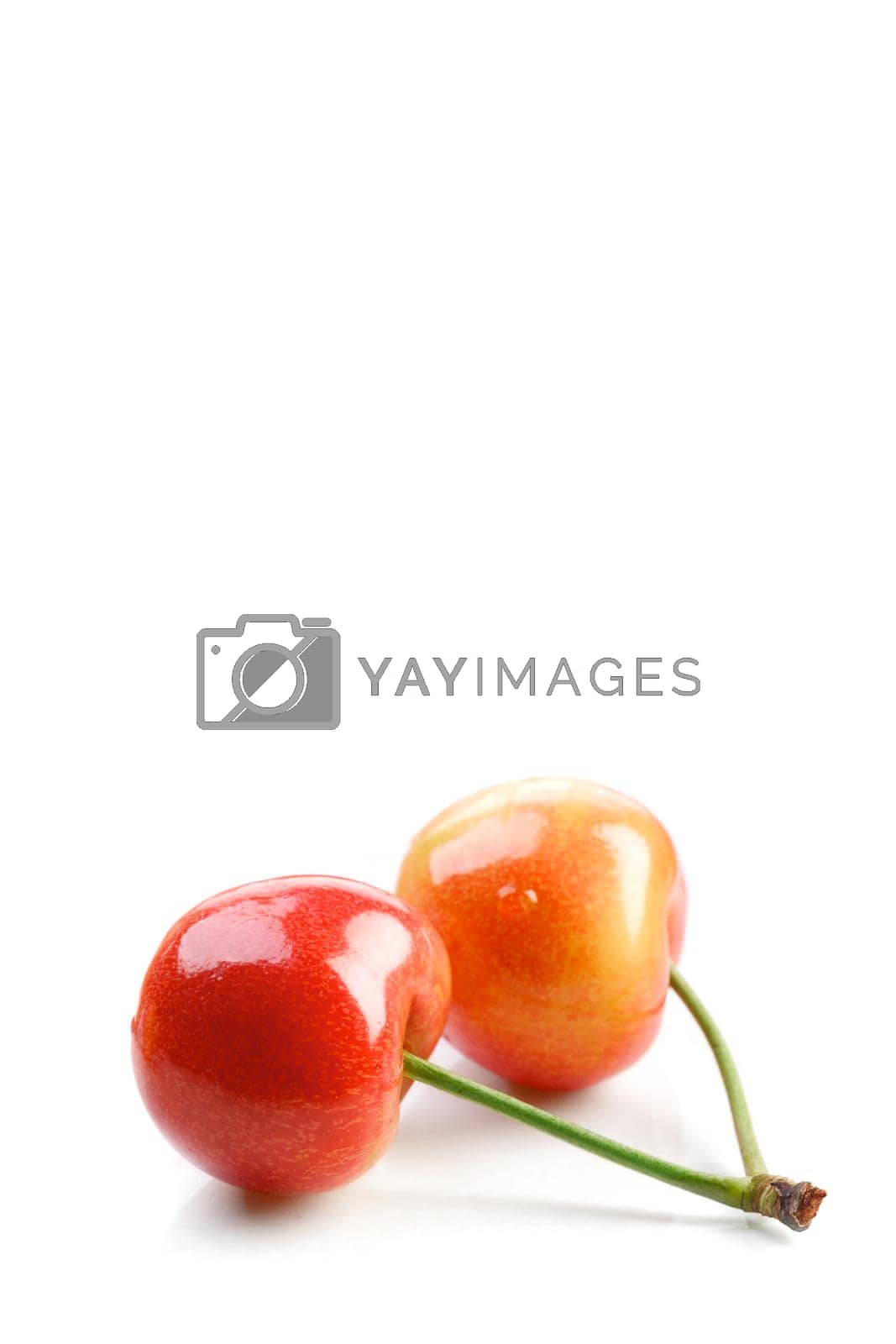 Royalty free image of Still life photography by moodboard