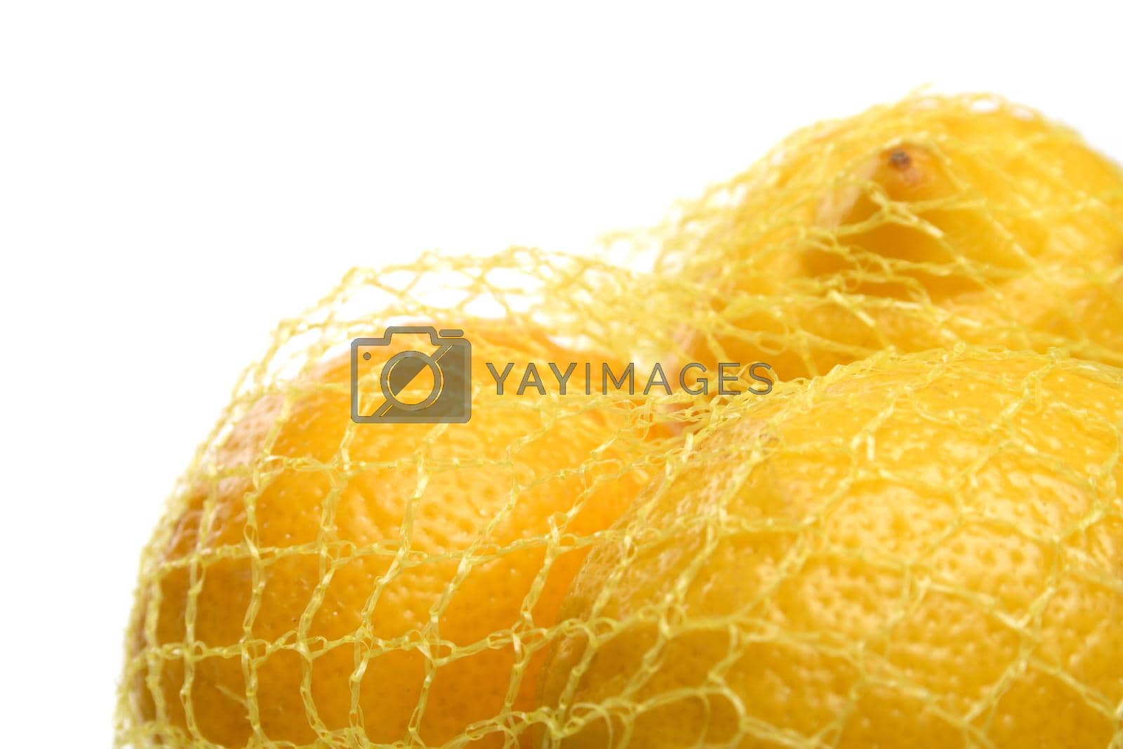 Royalty free image of Lemons by moodboard