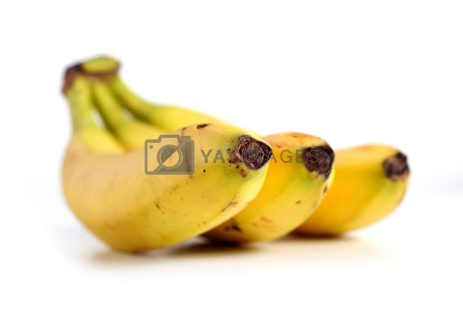 Royalty free image of Banana by moodboard