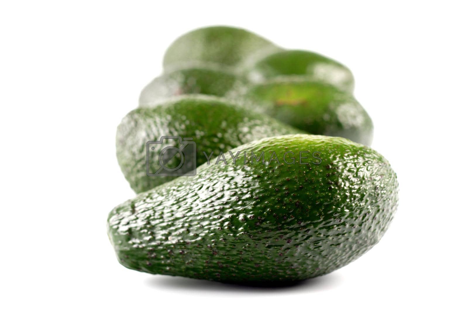 Royalty free image of Avocado by moodboard