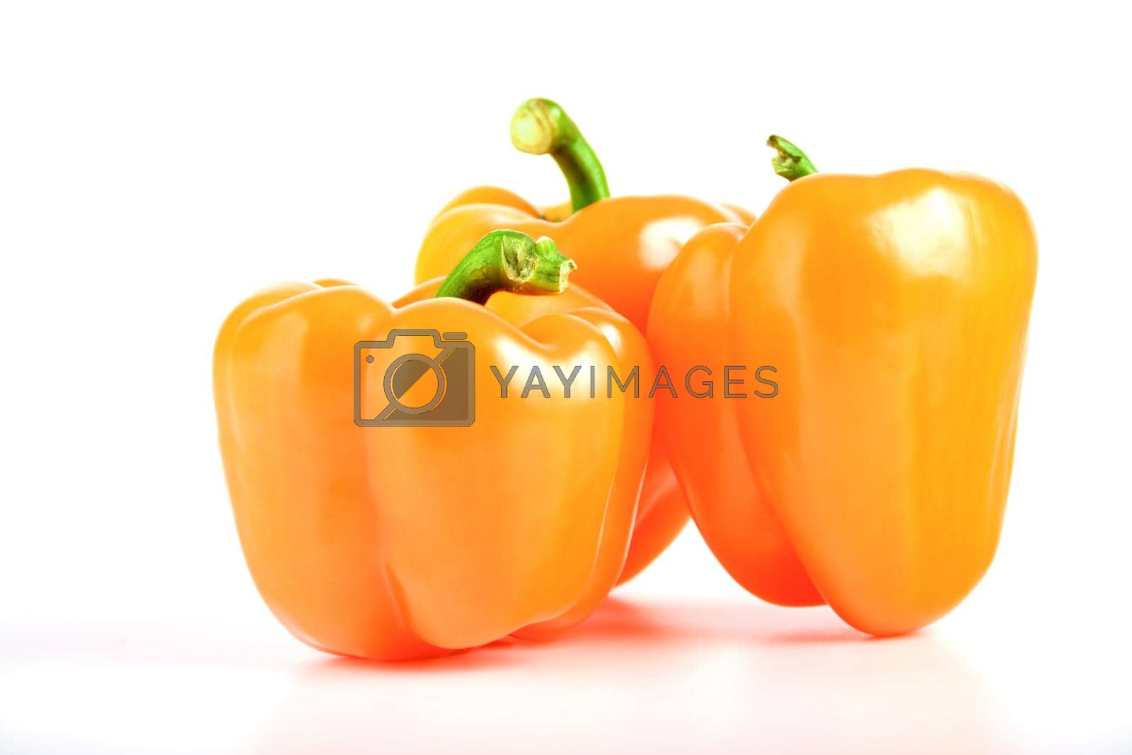 Royalty free image of Paprika by moodboard