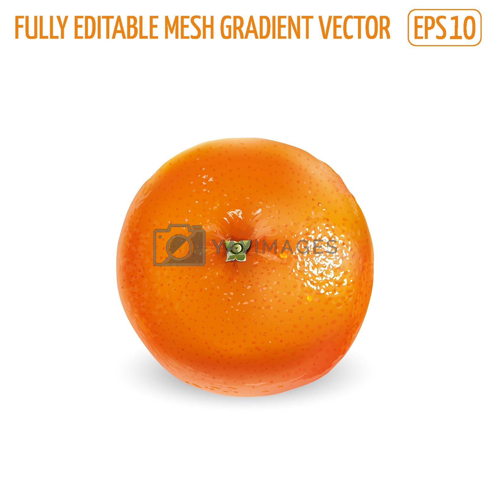 Royalty free image of Ripe unpeeled orange on a white background. by ConceptCafe