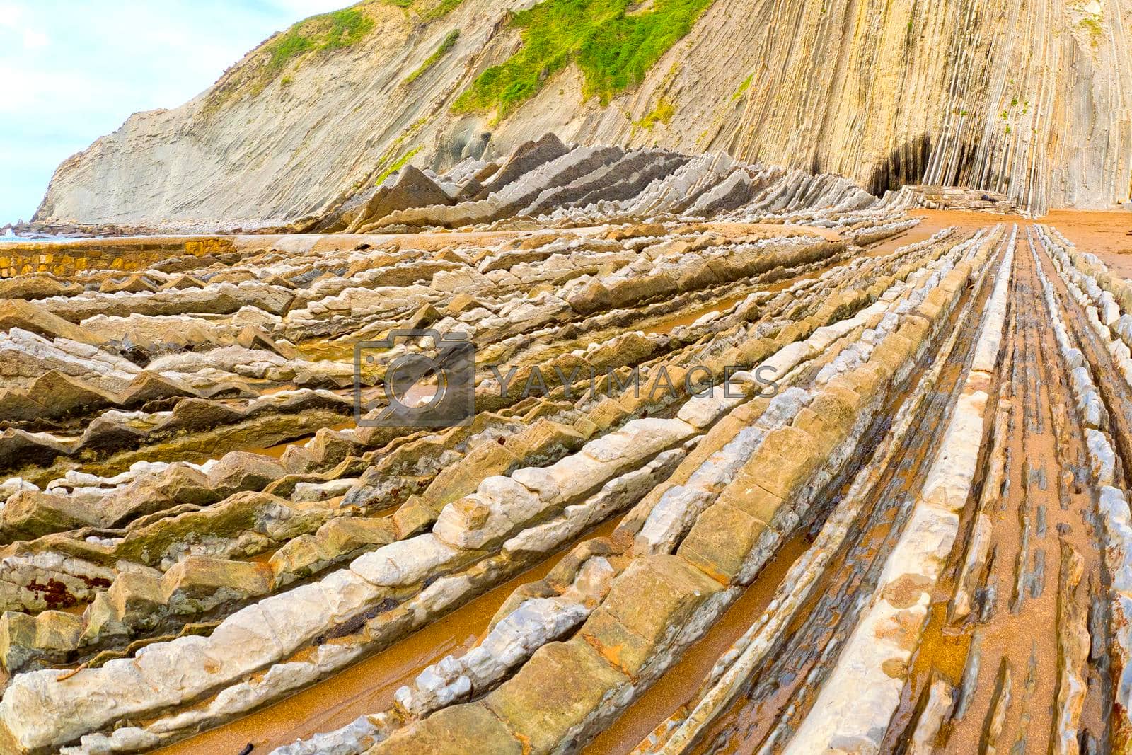 Royalty free image of Steeply-tilted Layers of Flysch, Basque Coast UNESCO Global Geopark, Spain by alcaproac