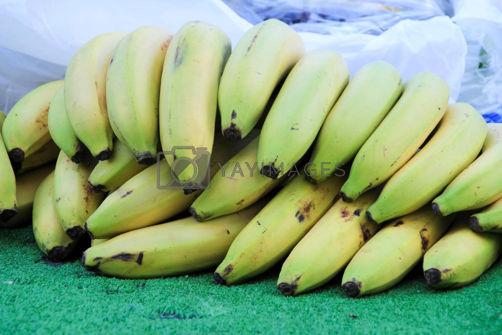 Royalty free image of Colorful bananas at a market stall by soniabonet
