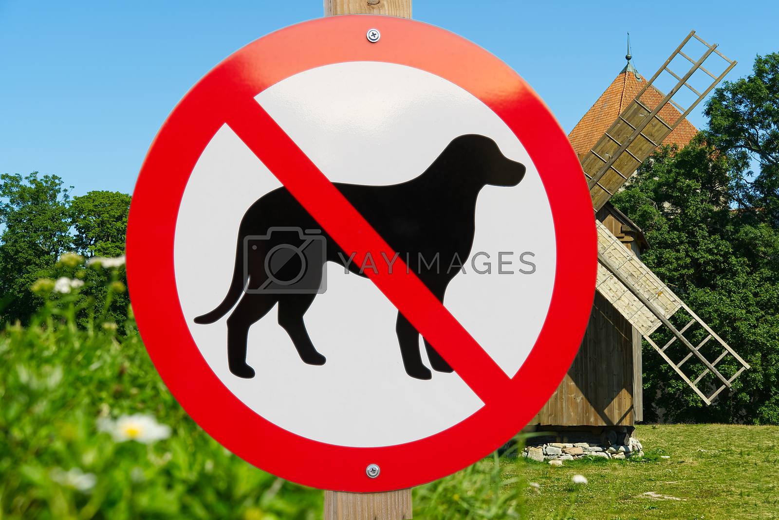 No dog sign on a sea beach. no pets allowed sign to swimm asign blue sea