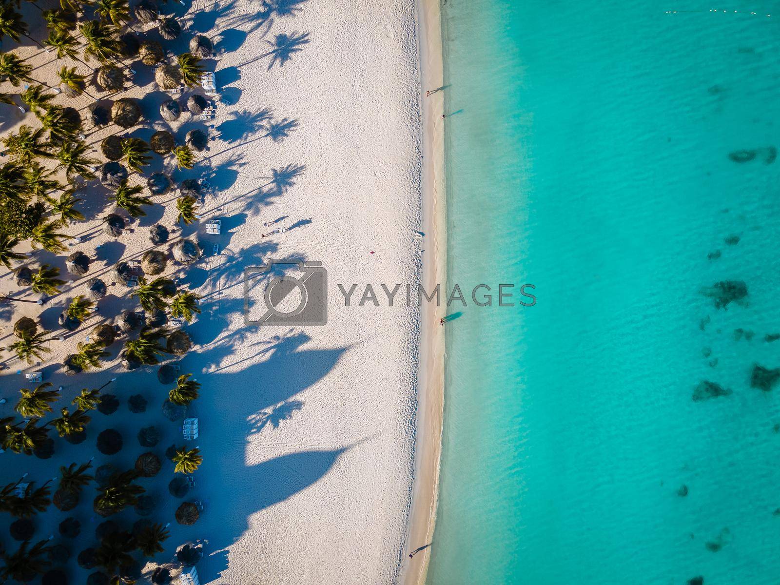 Royalty free image of Palm beach Aruba Caribbean, white long sandy beach with palm trees at Aruba by fokkebok