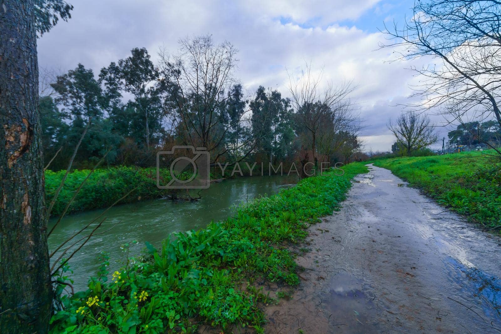 Royalty free image of Dan stream, a source of the Jordan River by RnDmS