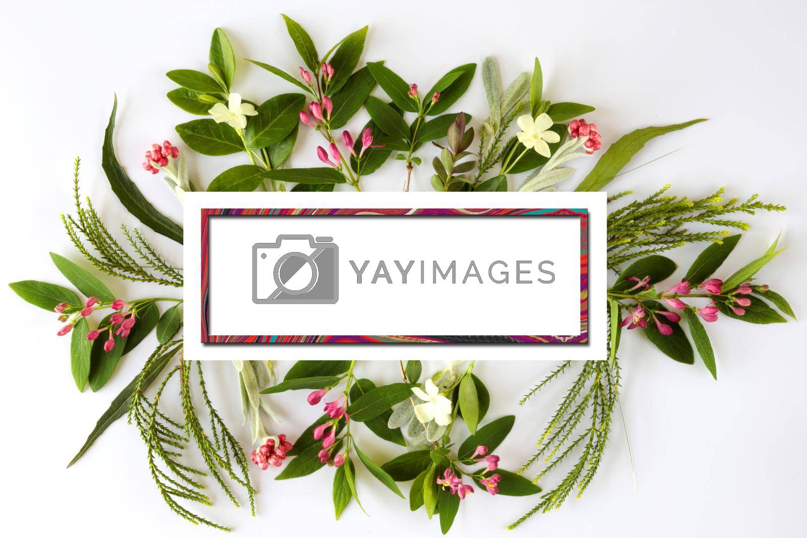 Royalty free image of Beautiful Flowers border by NelliPolk